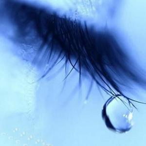 香蕉网在线视频
