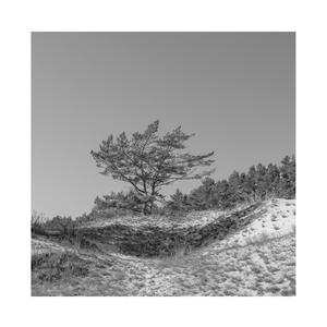 香蕉网在线视频
